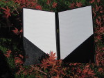 Zaposlitveni program