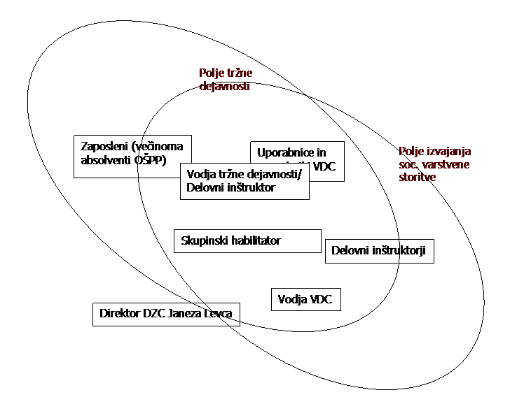 Organigram organizacije dela v DZC Janeza Levca